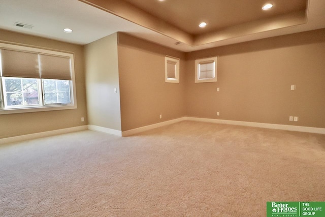 spare room with a raised ceiling and carpet