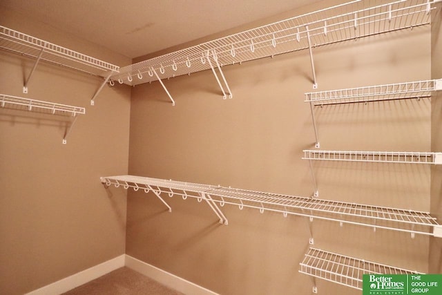 spacious closet with carpet floors