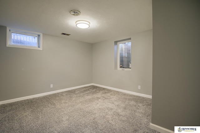 basement featuring carpet