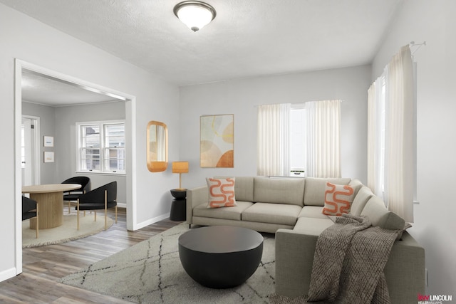 living room with light hardwood / wood-style floors