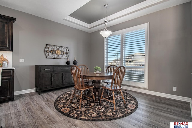 dining room featuring a raised ceiling and wood-type flooring