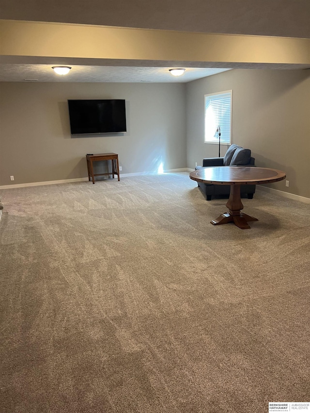 interior space featuring baseboards and carpet flooring