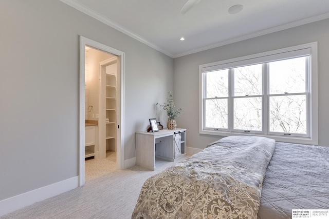 carpeted bedroom with ceiling fan, ensuite bathroom, a spacious closet, and ornamental molding