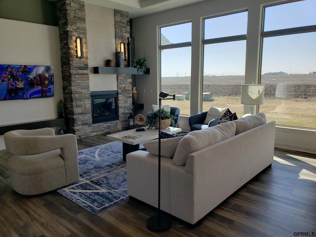 living room featuring dark hardwood / wood-style floors and a stone fireplace