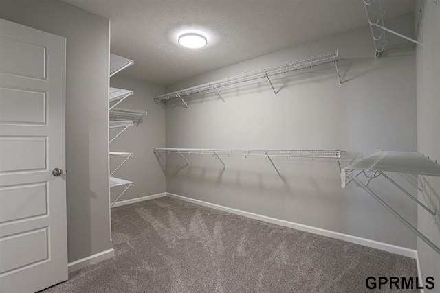 spacious closet featuring carpet floors