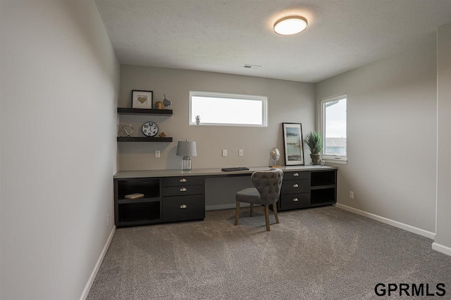 carpeted office featuring a textured ceiling and a wealth of natural light