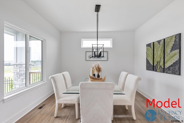 dining room featuring wood-type flooring and plenty of natural light