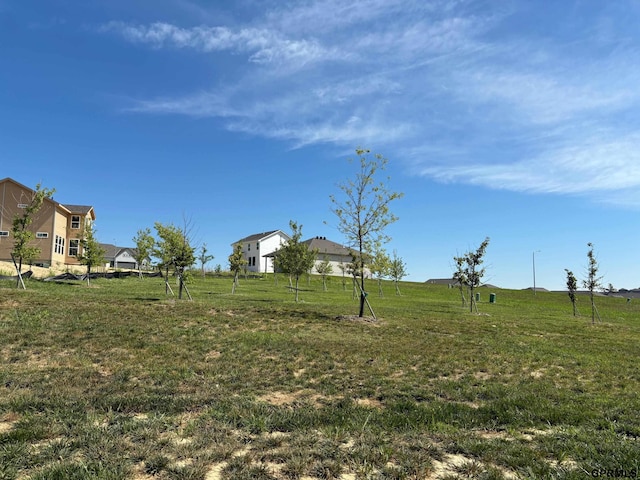 view of yard with a rural view