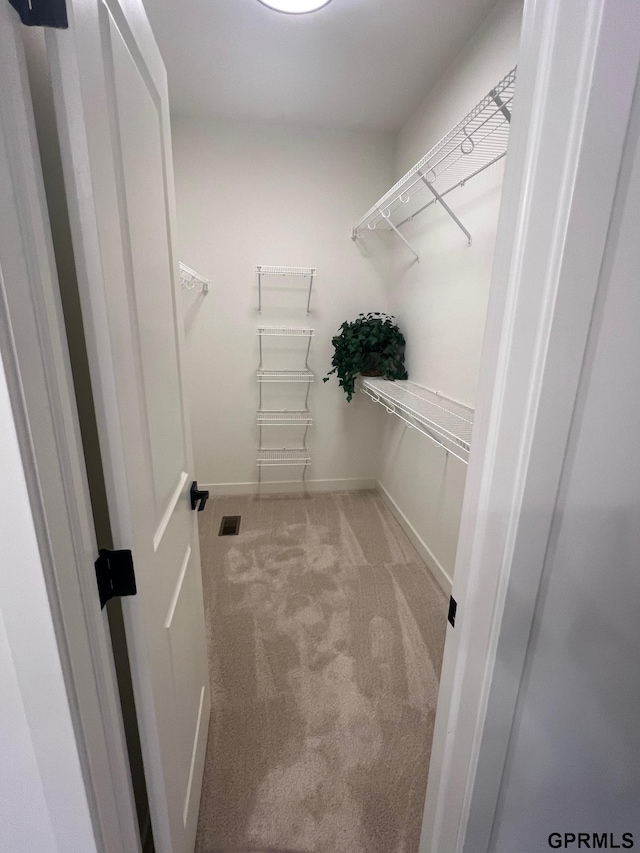 walk in closet featuring light colored carpet