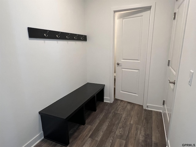 mudroom with dark wood-type flooring