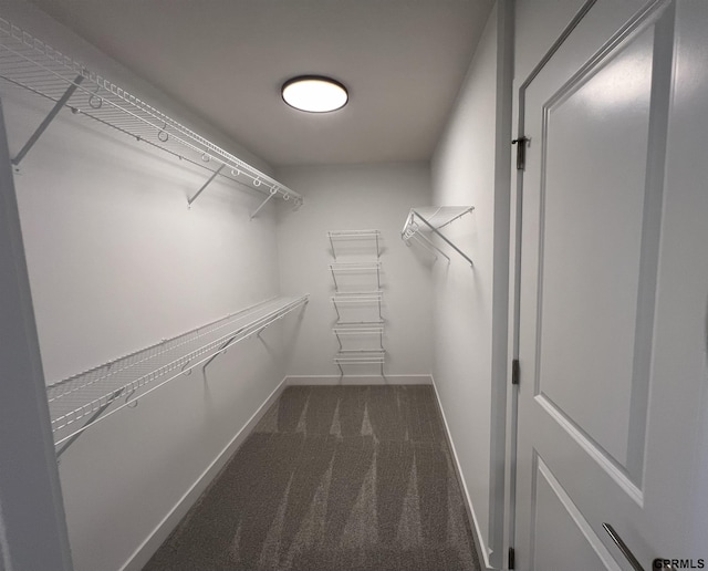 walk in closet with dark carpet