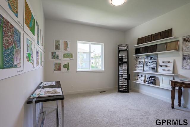 miscellaneous room featuring light colored carpet