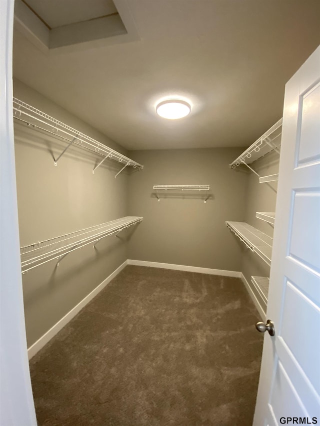 spacious closet with dark carpet