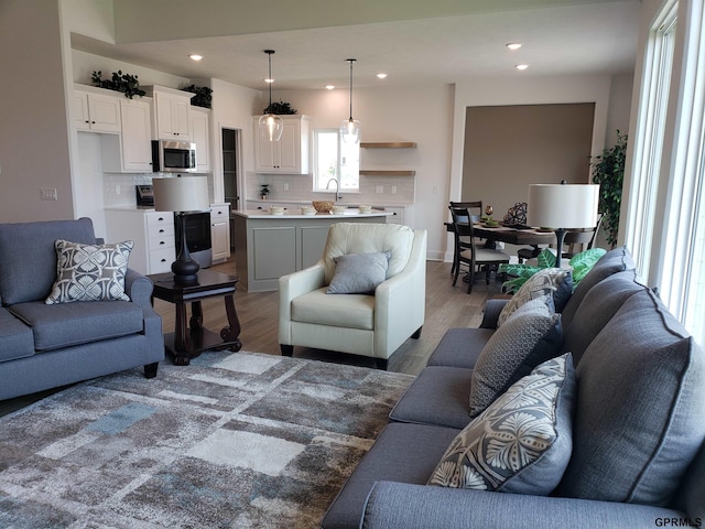 living room with light wood-type flooring