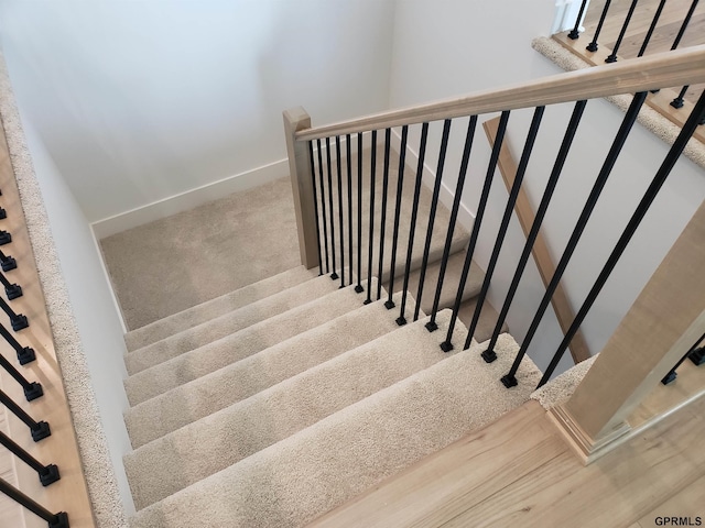 staircase with carpet floors