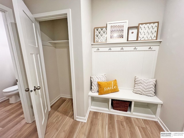 mudroom with light wood-type flooring