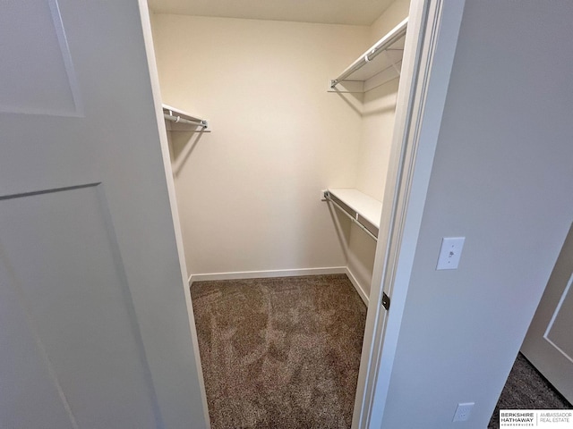 walk in closet with dark colored carpet