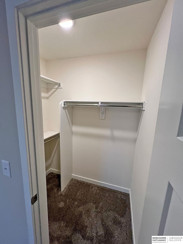 walk in closet with dark colored carpet