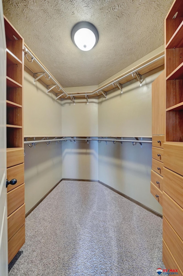 walk in closet with carpet flooring