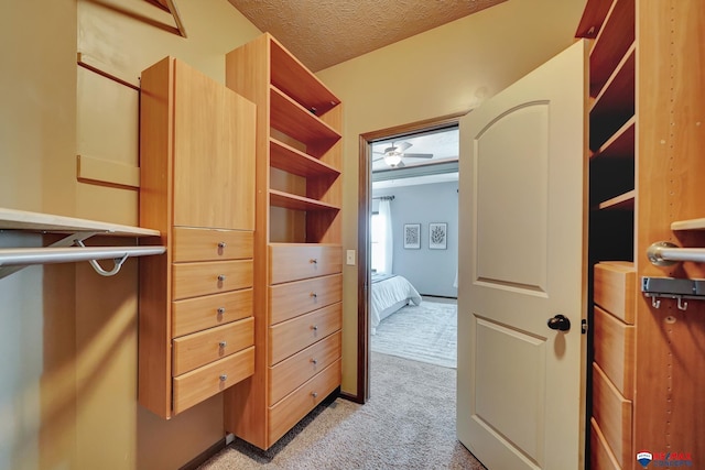 spacious closet with light colored carpet and ceiling fan