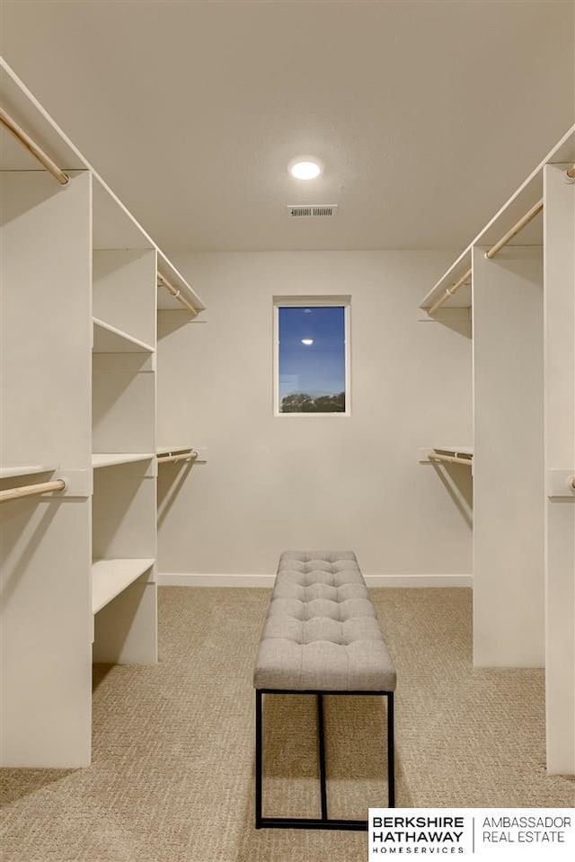 spacious closet with light carpet