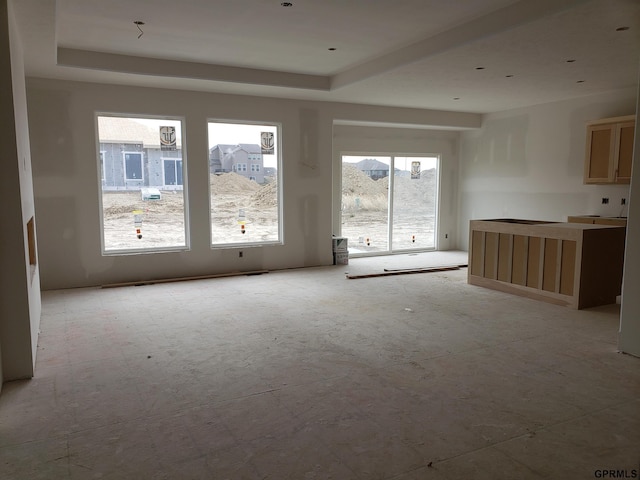 spare room featuring a wealth of natural light and a tray ceiling