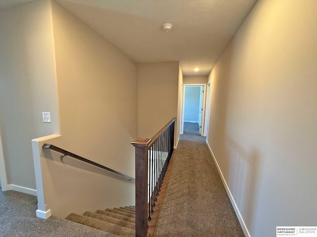 hallway with carpet