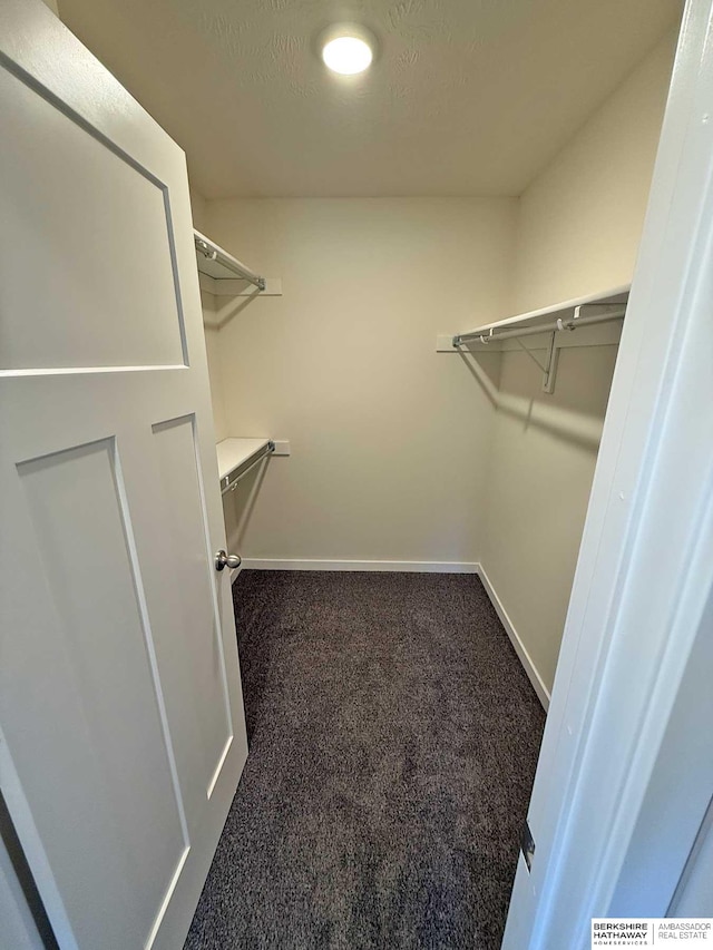 spacious closet with carpet flooring