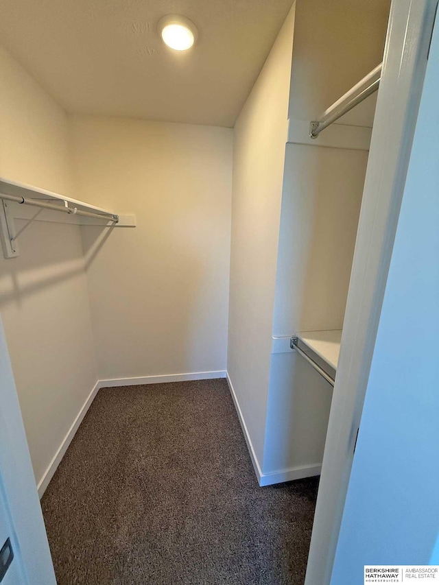 walk in closet featuring dark colored carpet