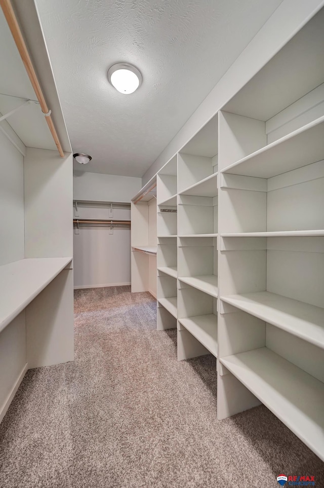 walk in closet featuring light carpet