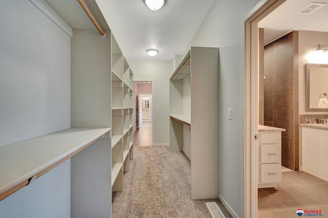 spacious closet with light carpet