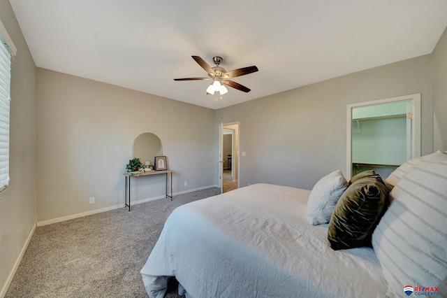 bedroom featuring carpet, ceiling fan, a spacious closet, and a closet