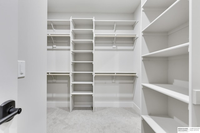 walk in closet featuring carpet