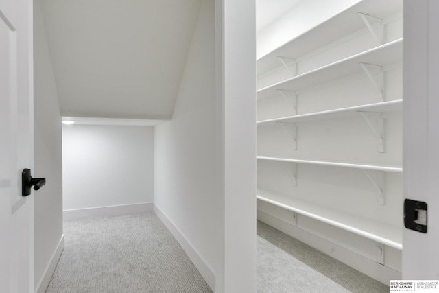 walk in closet with light carpet