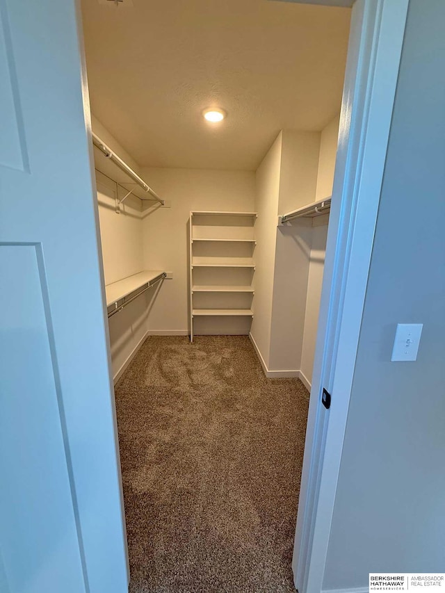 walk in closet featuring dark carpet