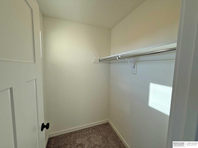 spacious closet featuring carpet floors