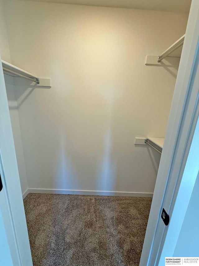 spacious closet featuring carpet flooring