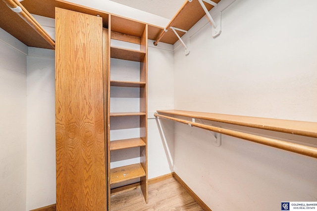 spacious closet with light wood-type flooring