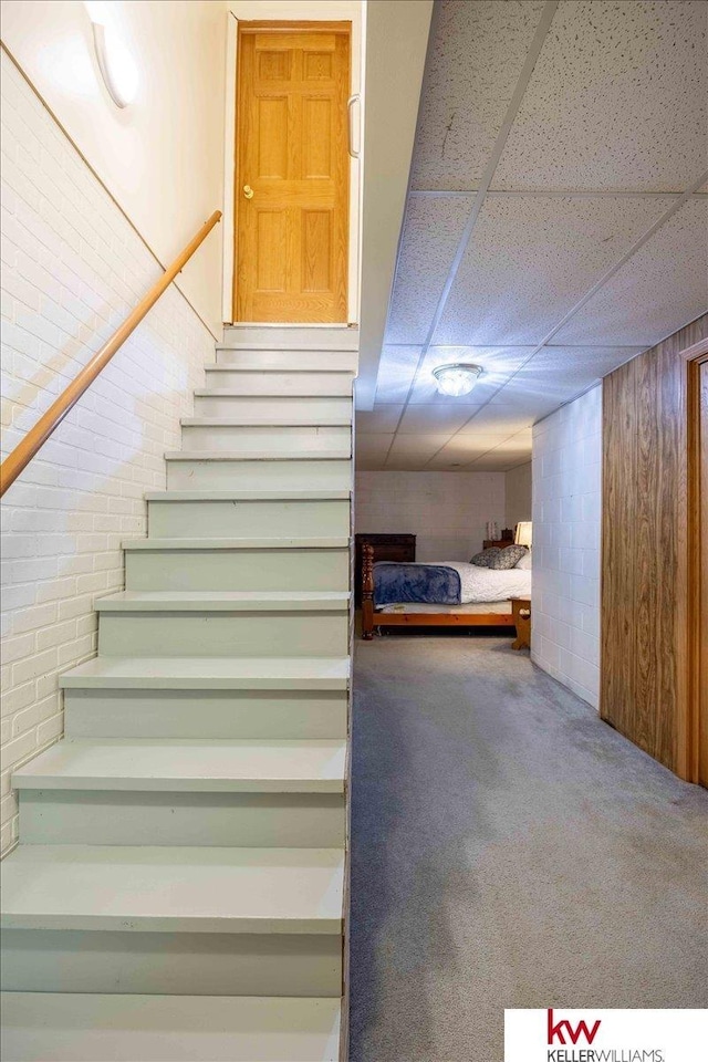 stairway featuring carpet, a drop ceiling, and wooden walls