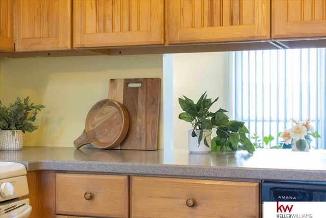 interior details with white dishwasher and range