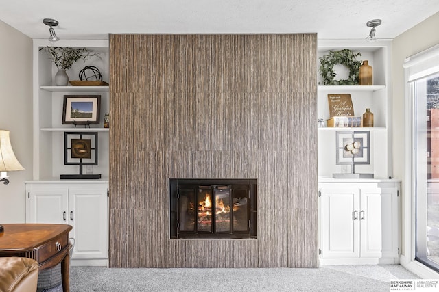 room details featuring built in shelves, a textured ceiling, and carpet