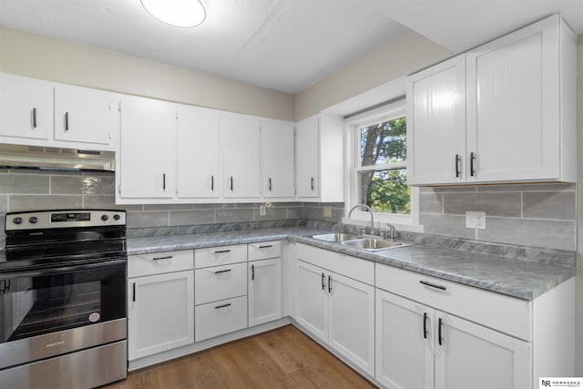 kitchen with stainless steel electric stove, white cabinetry, ventilation hood, and sink