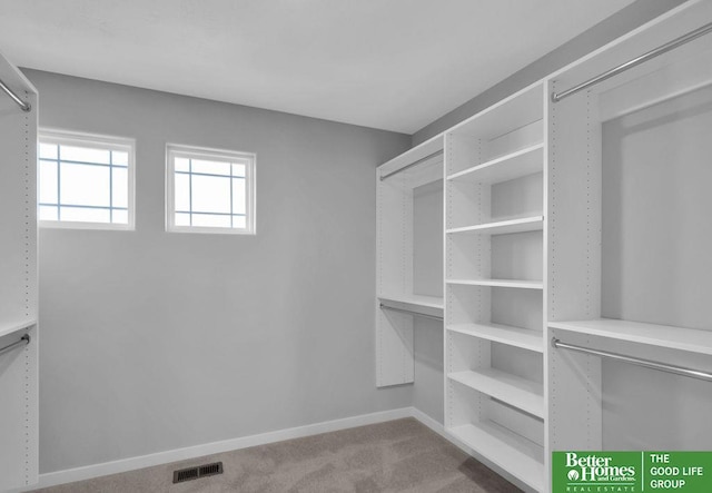 walk in closet featuring light colored carpet