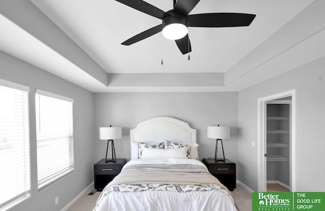 bedroom featuring a tray ceiling, multiple windows, a spacious closet, and ceiling fan