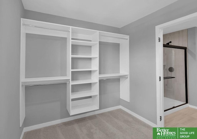 spacious closet featuring light colored carpet