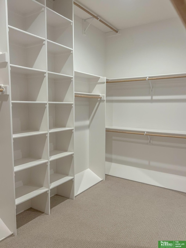 spacious closet featuring carpet