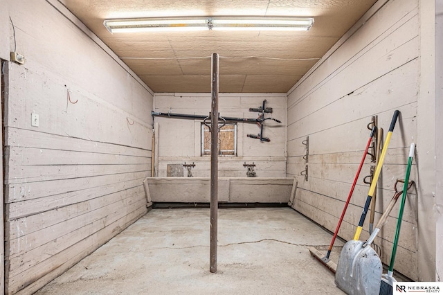 basement with wood walls