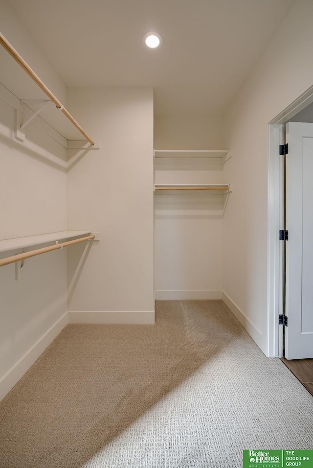 walk in closet with carpet flooring