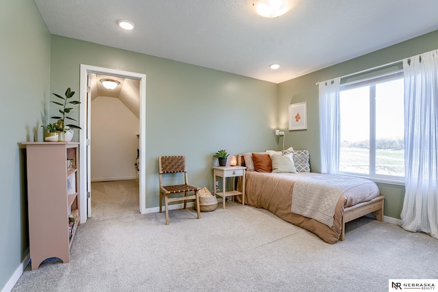 bedroom featuring multiple windows and carpet