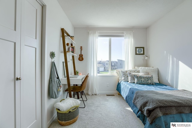 carpeted bedroom with multiple windows